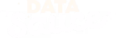 Client Logo: Data Sauce